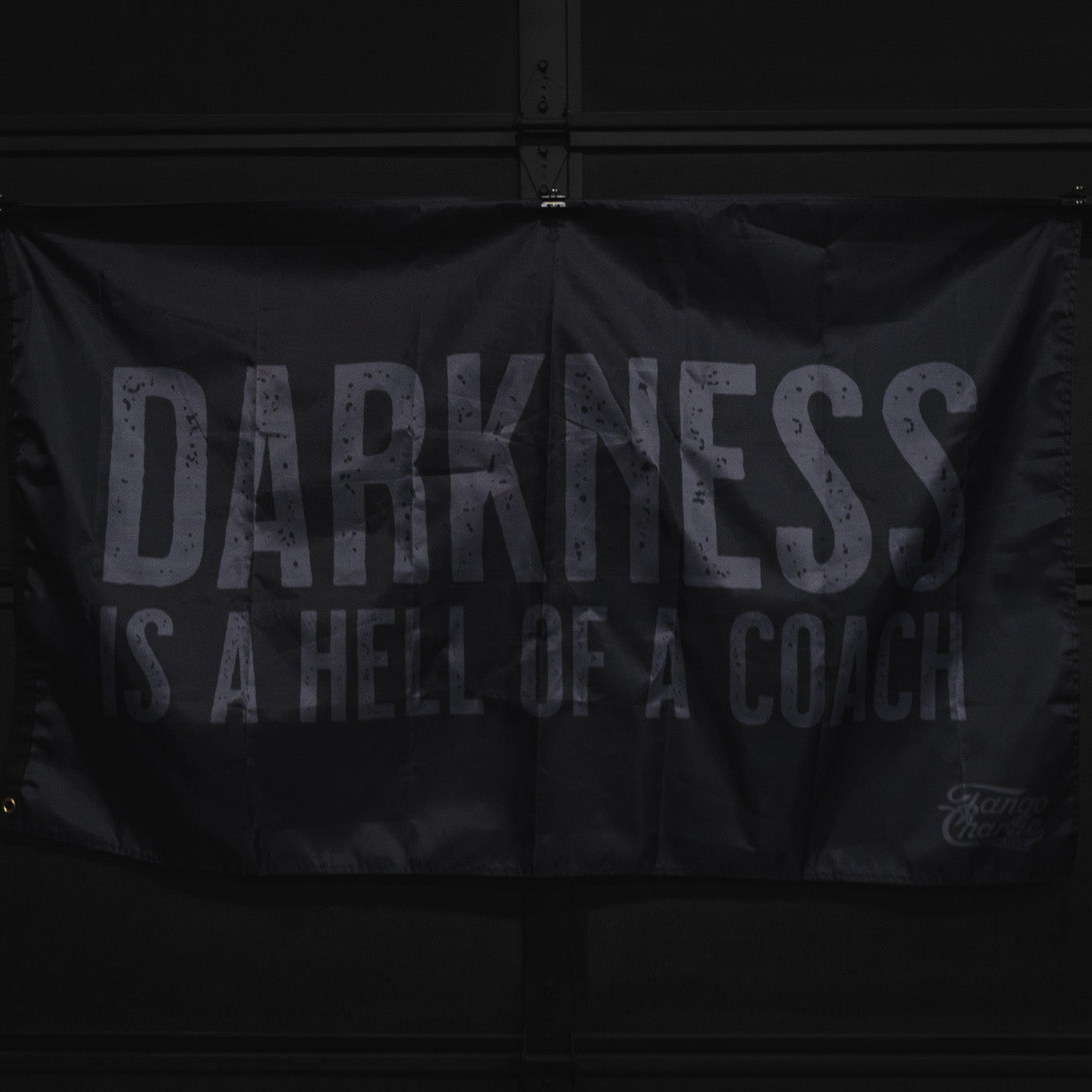 Darkness is a Hell of a Coach: Embracing Life’s Challenges